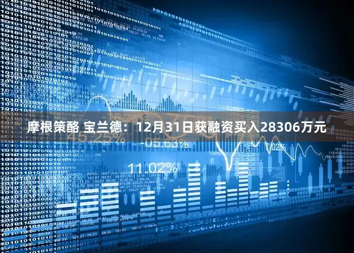 摩根策酪 宝兰德：12月31日获融资买入28306万元